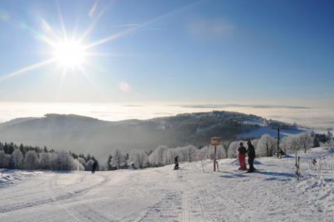 Ski areál Alšovka